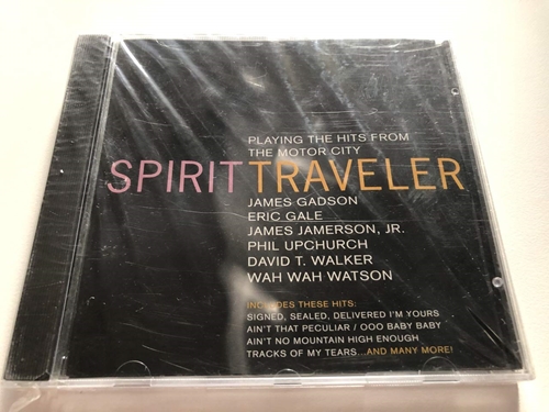 Picture of Spirit Traveler-Playing Hits F