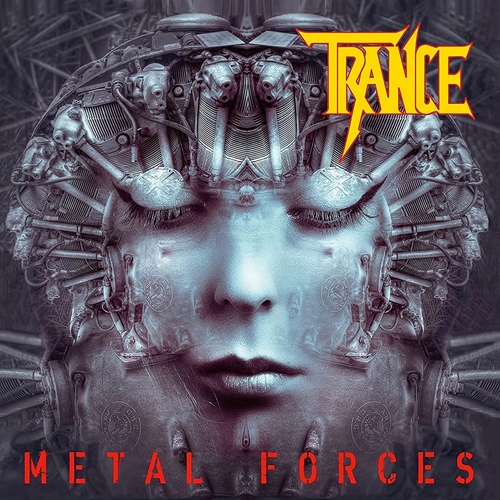 Picture of METAL FORCE