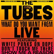 Picture of WHAT DO YOU WANT  by TUBES THE