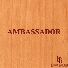 Picture of AMBASSADOR  by ELLIOTT BROOD