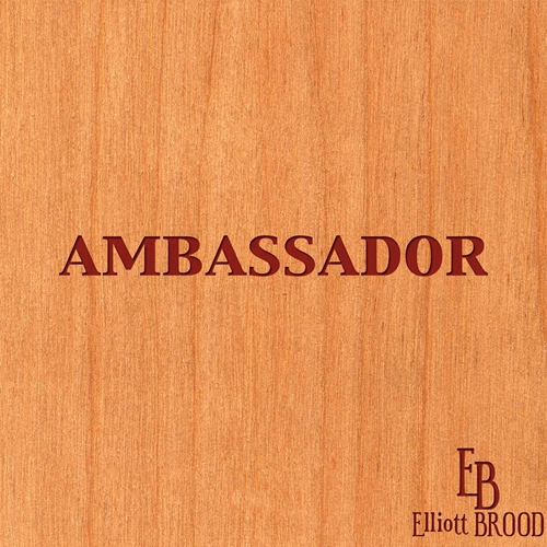 Picture of AMBASSADOR  by ELLIOTT BROOD