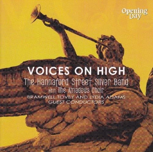 Picture of VOICES ON HIGH  by HANNAFORD STREET SILVER BA