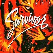 Picture of Ultimate Survivor  by Survivor