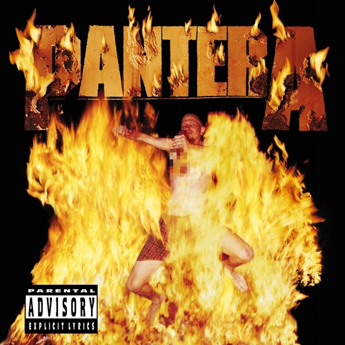 Picture of REINVENTING THE STEEL  by PANTERA