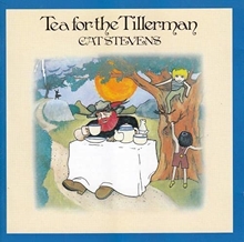 Picture of TEA FOR THE TILLERMAN(REMA  by STEVENS CAT