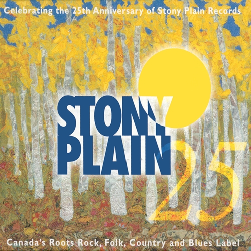 Picture of 25 YEARS OF STONY PLA(2CD)  by VARIOUS ARTISTS