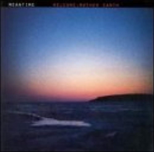 Picture of WELCOME: MOTHER EARTH  by MEANTIME