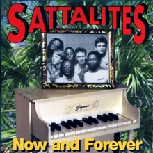 Picture of NOW AND FOREVER  by SATTALITES,THE