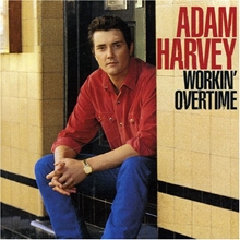 Picture of WORKIN' OVERTIME  by ADAM HARVEY