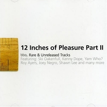 Picture of 12 OF PLEASURE II (CD)                                             by VARIOUS ARTISTS   