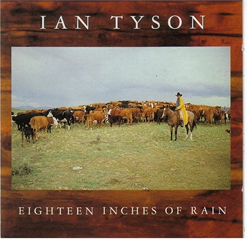 Picture of EIGHTEEN INCHES OF RAIN  by TYSON IAN