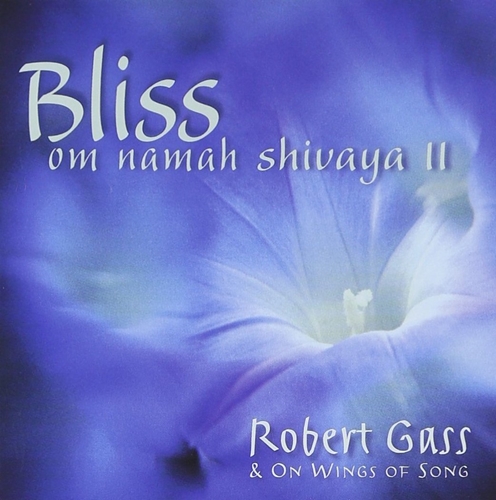 Picture of BLISS OM NAMAH SHIVAYA II  by GASS,ROBERT