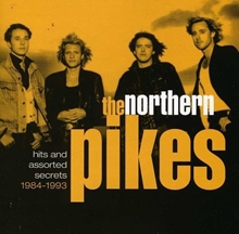 Picture of HITS & ASS'T SECRETS 93  by THE NORTHERN PIKES