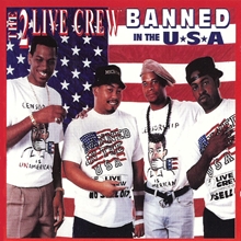 Picture of Banned In the Usa (clean)