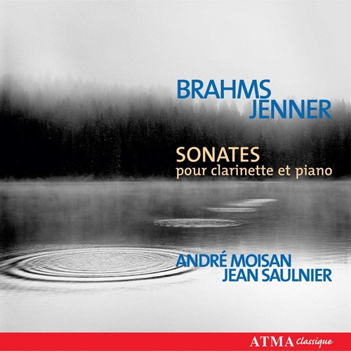 Picture of BRAHMS CLARINET SONATAS  by MOISAN / SAULNIER