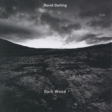 Picture of DARKWOOD  by DARLING DAVID