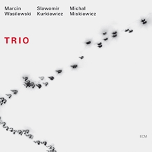 Picture of TRIO  by WASILEWSKI/KURKIEWICZ/MISZ