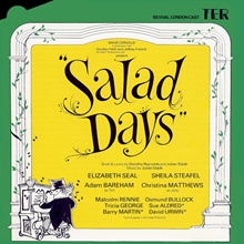 Picture of SALAD DAYS