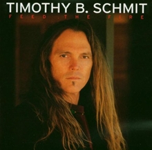 Picture of FEED THE FIRE  by SCHMIT,TIMOTHY B