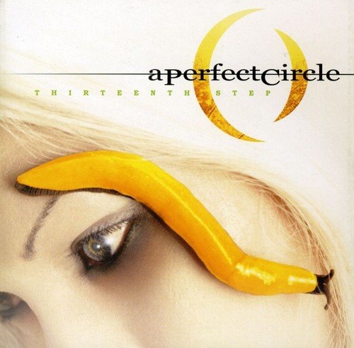 Picture of THIRTEENTH STEP  by A PERFECT CIRCLE