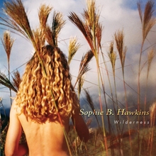 Picture of WILDERNESS  by SOPHIE B HAWKINS