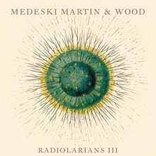 Picture of Radiolarians Lii  by Medeski Martin & Wood