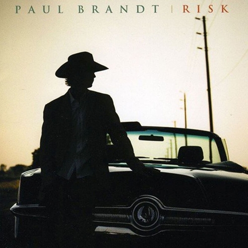 Picture of RISK  by PAUL BRANDT