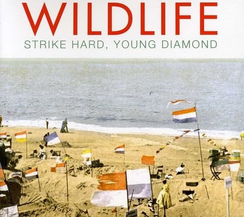 Picture of STRIKE HARD YOUNG DIAMOND  by WILDLIFE