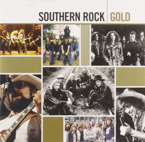 Picture of SOUTHERN ROCK GOLD  by VARIOUS ARTISTS