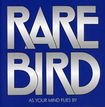 Picture of AS YOUR MIND FLIES  by RARE BIRD           