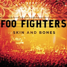 Picture of Skin And Bones  by Foo Fighters