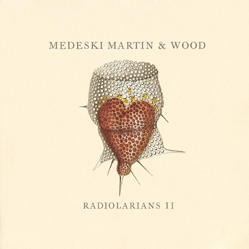 Picture of Radiolorians Li  by Medeski Martin & Wood