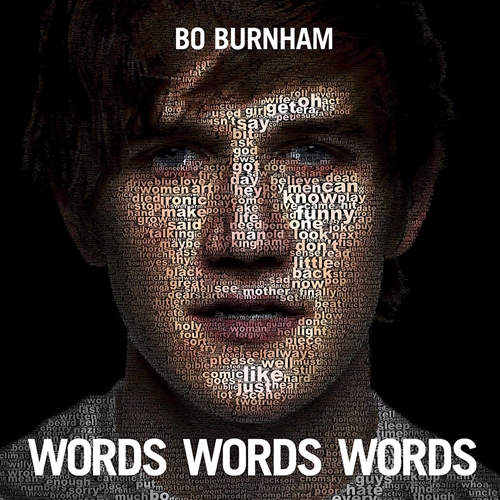 Picture of WORDS WORDS WORDS  by BO BURNHAM