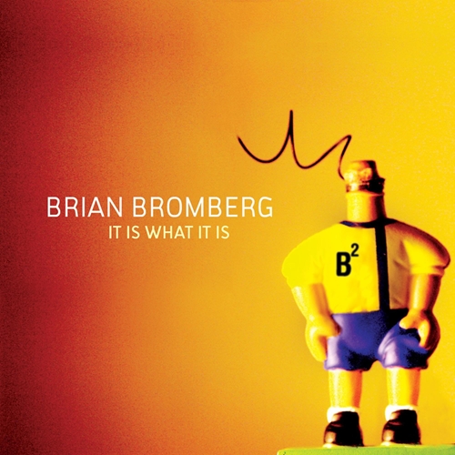 Picture of It Is What It Is  by Brian Bromberg