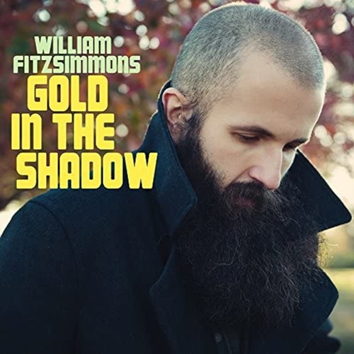 Picture of Gold In The Shadow  by WILLIAM FITZSIMMONS