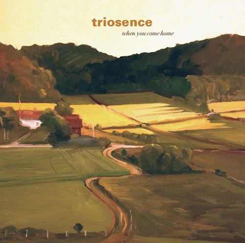 Picture of When You Come Home  by Triosence