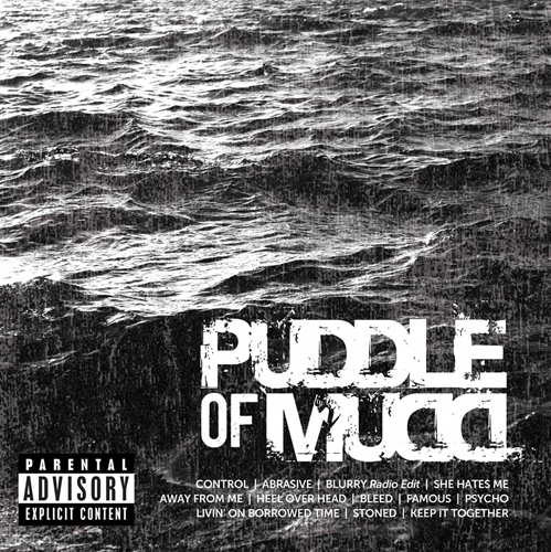 Picture of ICON  by PUDDLE OF MUDD