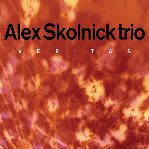 Picture of Veritas  by Alex Skolnick Trio