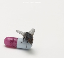 Picture of I'M WITH YOU  by RED HOT CHILI PEPPERS