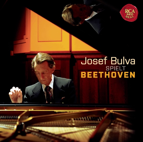 Picture of Josef Bulva: Beethoven  by Josef Bulva