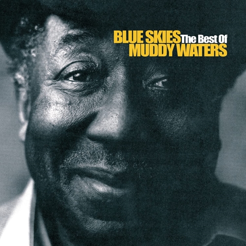 Picture of Blue Skies - The Best Of Muddy Water S  by Muddy Waters