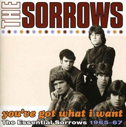 Picture of YOU'VE GOT WHAT I WANT - THE ESSENTIAL SORROWS 1965-67