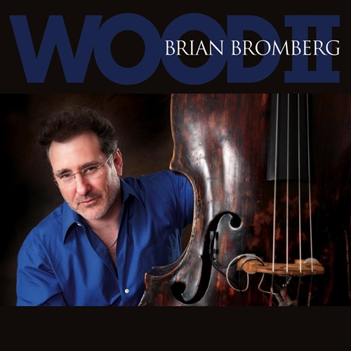 Picture of Wood Ii  by Brian Bromberg