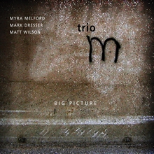 Picture of Big Picture  by Trio M