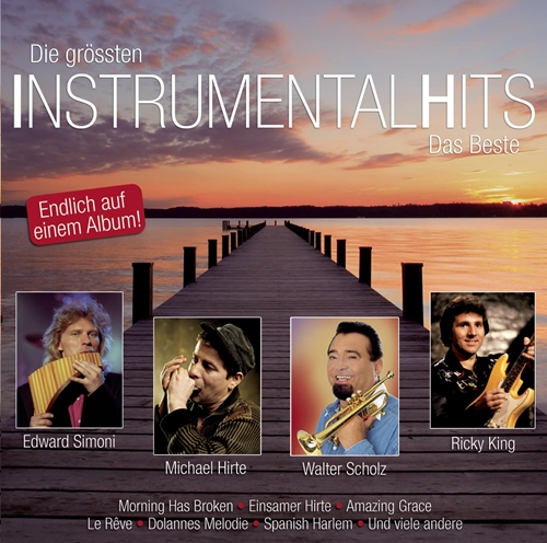 Picture of Die Gr Ssten Instrumental Hits  by Various