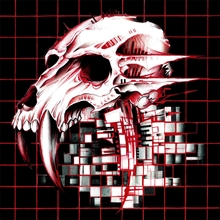 Picture of Skullgrid  by Behold...The Arctopus