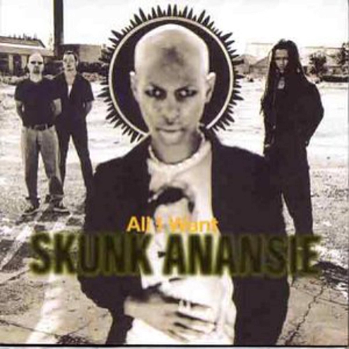 Picture of All I Want (2)  by Skunk Anansie