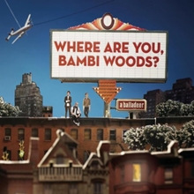 Picture of Where Are You, Bambi Woods?  by A Balladeer