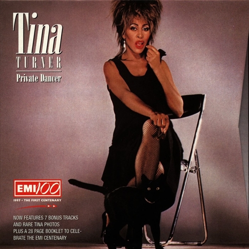 Picture of PRIVATE DANCER  by TINA TURNER