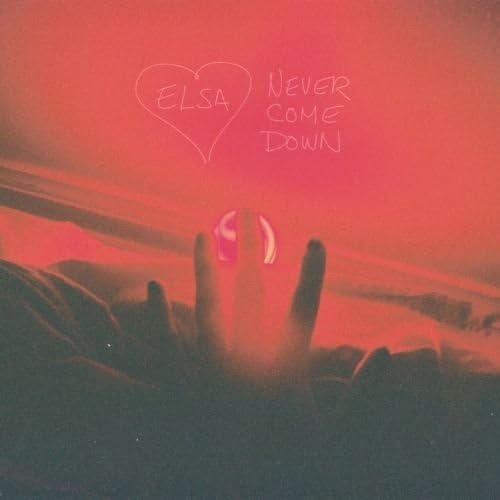 Picture of NEVER COME DOWN  by ELSA